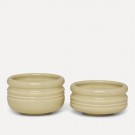 The Legacy Boller Mini 2pk D: 8cm H: 5/4cm Pistachio thumbnail