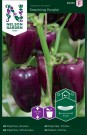 Paprika, Potte - Snacking Purple  thumbnail