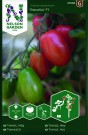 Tomat, Høy - Ravello F1 thumbnail