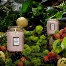 Voluspa Duftlys - Panjore Lychee 156g, 50t thumbnail